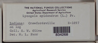 Image Associated With the Occurence
